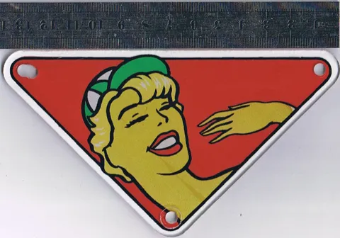 Playfield Plastic*