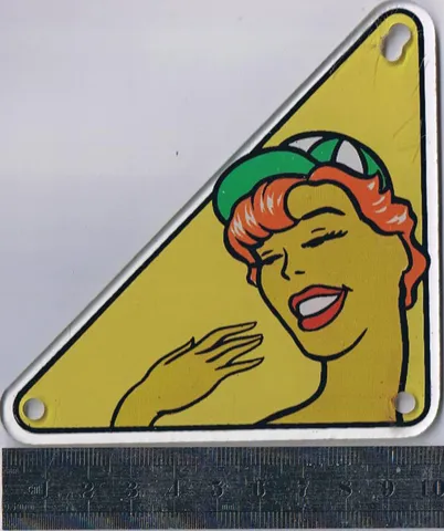 Playfield Plastic*