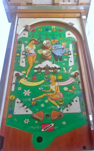 Stripped Playfield*