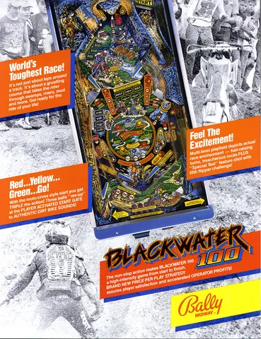 Flyer, Back