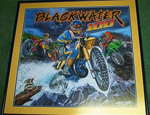 Original Backglass Artwork*