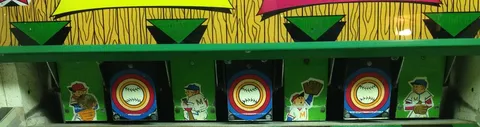Magnetic Targets