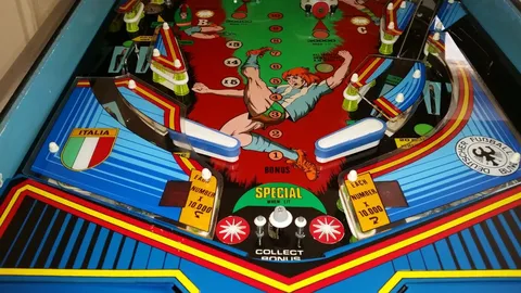 Lower Playfield