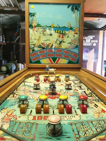 Playfield*