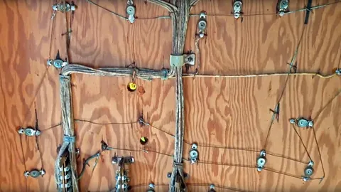 Inside Middle Backbox*