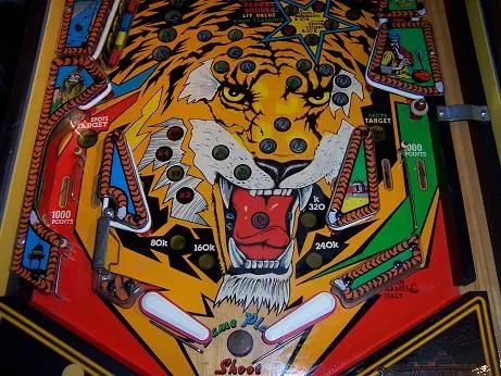 Lower Playfield