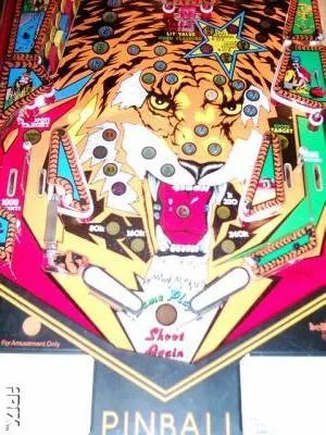 Lower Playfield