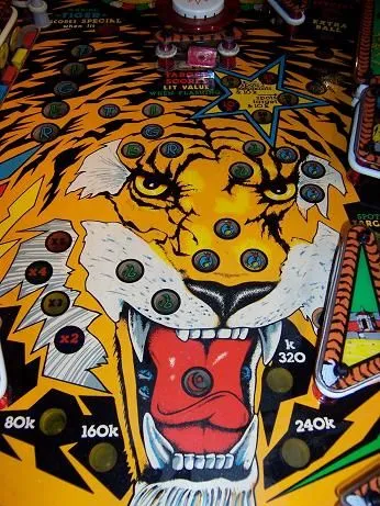 Lower Playfield