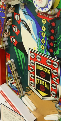 Lower Left Playfield