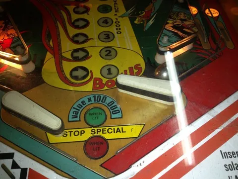 Flipper Area