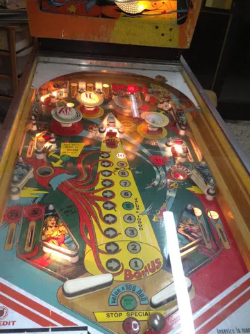 Illuminated Playfield