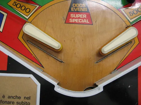 Flipper Area