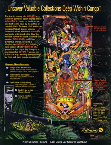 Flyer, Back