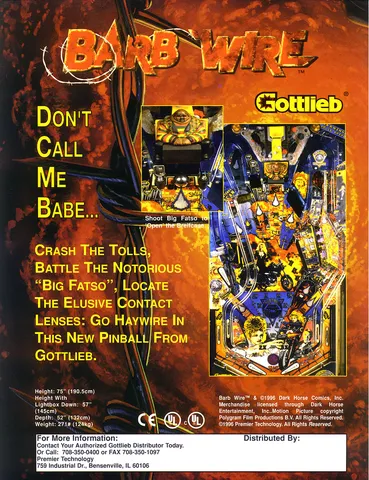 Flyer, Back