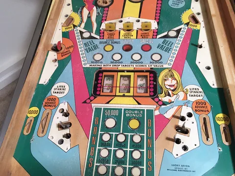 Partially Stripped Lower Playfield
