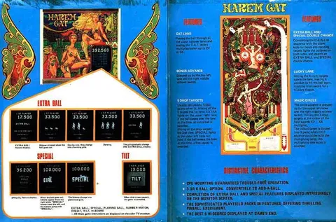 Flyer, Inside