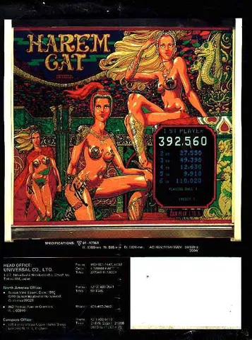 Flyer Back