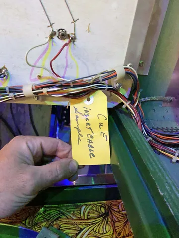 Backbox Insert - Sample Tag*