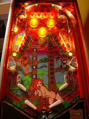 Illuminated Playfield