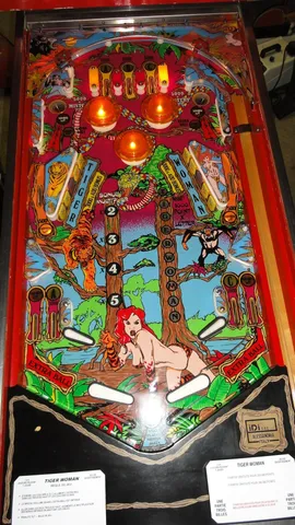 Playfield
