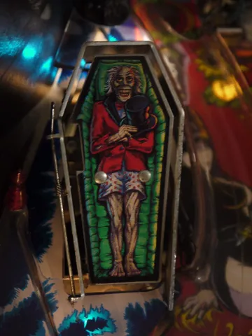 Inside Coffin*