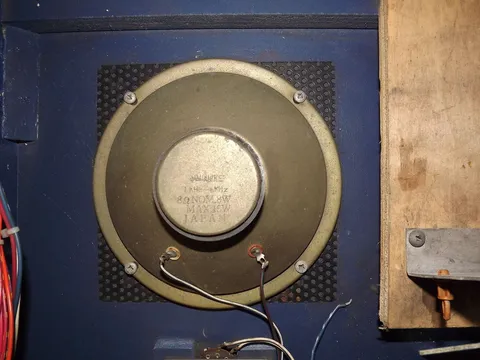 Speaker*
