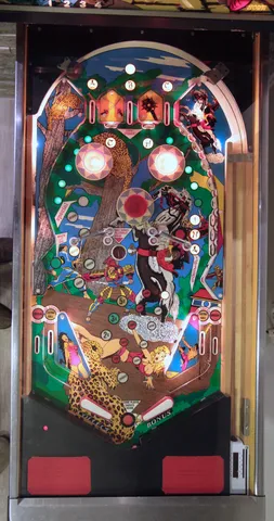 Illuminated Playfield