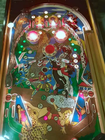 Illuminated Playfield