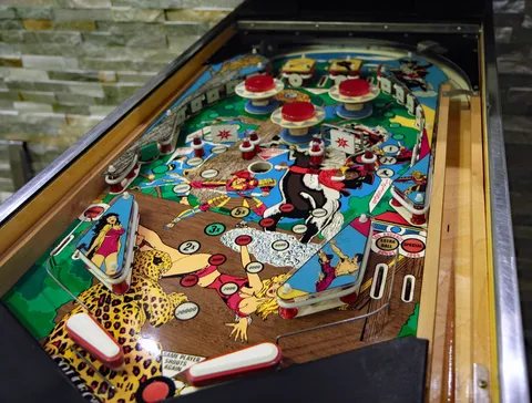 Playfield
