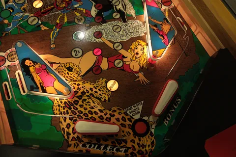 Flipper Area