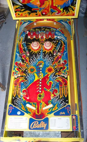 Playfield