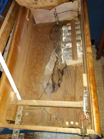 Inside Cabinet