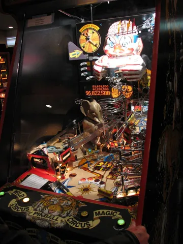 Full Playfield View