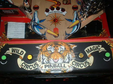 Player Control Panel