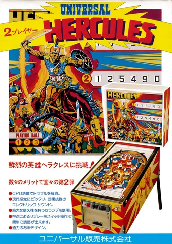 Japanese Flyer