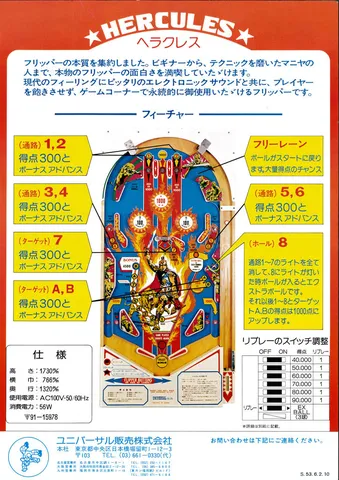 Japanese Flyer - Back