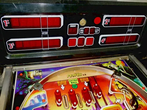 Score Panel*