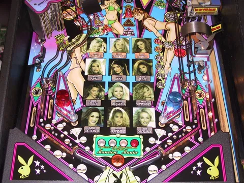Lower Playfield
