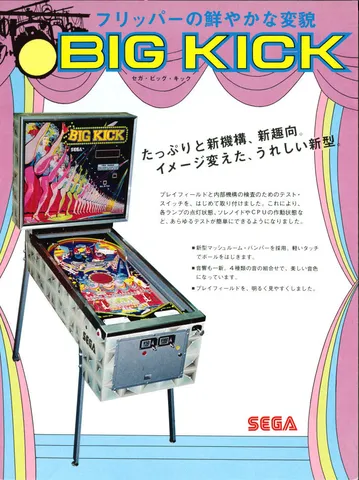 Japanese Flyer