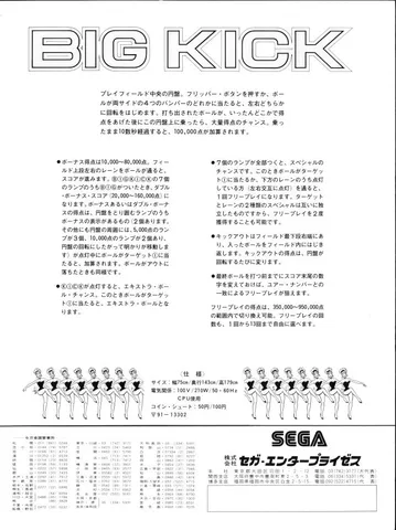 Japanese Flyer - Back