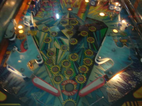 Lower Playfield