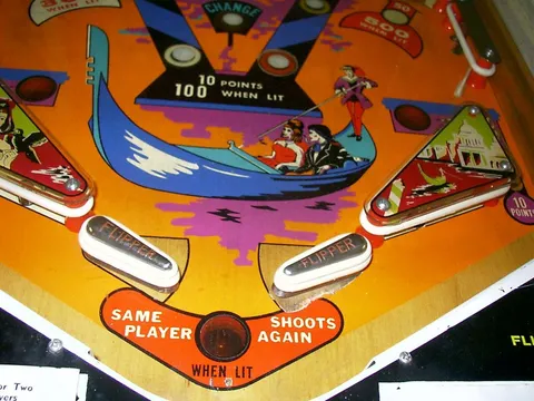 Flippers