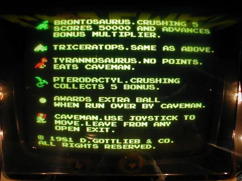 Video Instructions