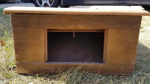Cabinet - Rear