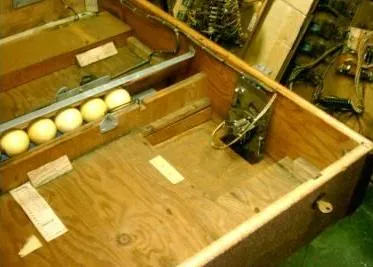 Inside View
