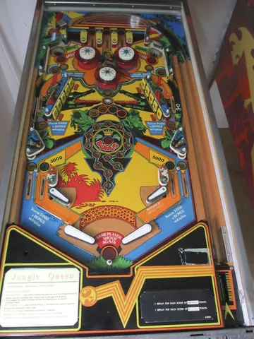 Playfield*