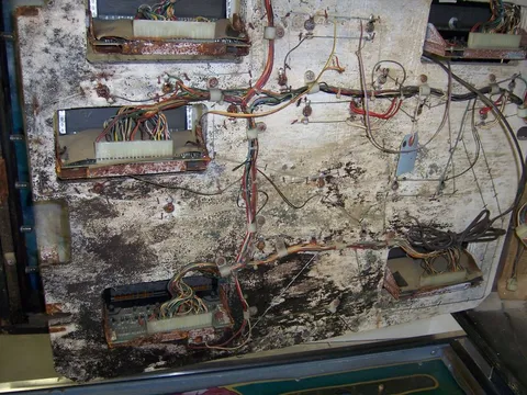 Backbox Insert - Back*