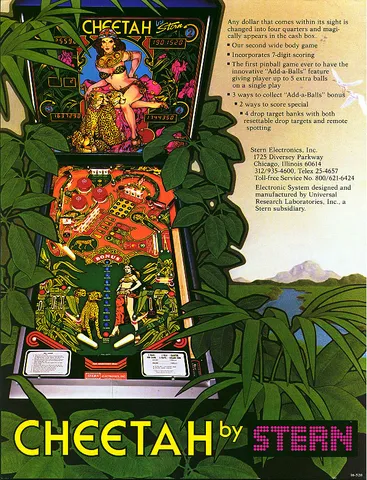 Flyer, Back