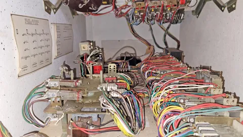 Inside Cabinet - Middle