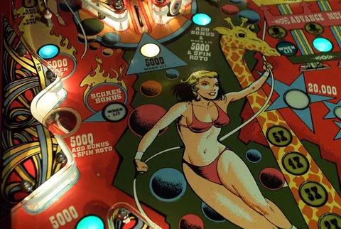 Lower Left Playfield Detail